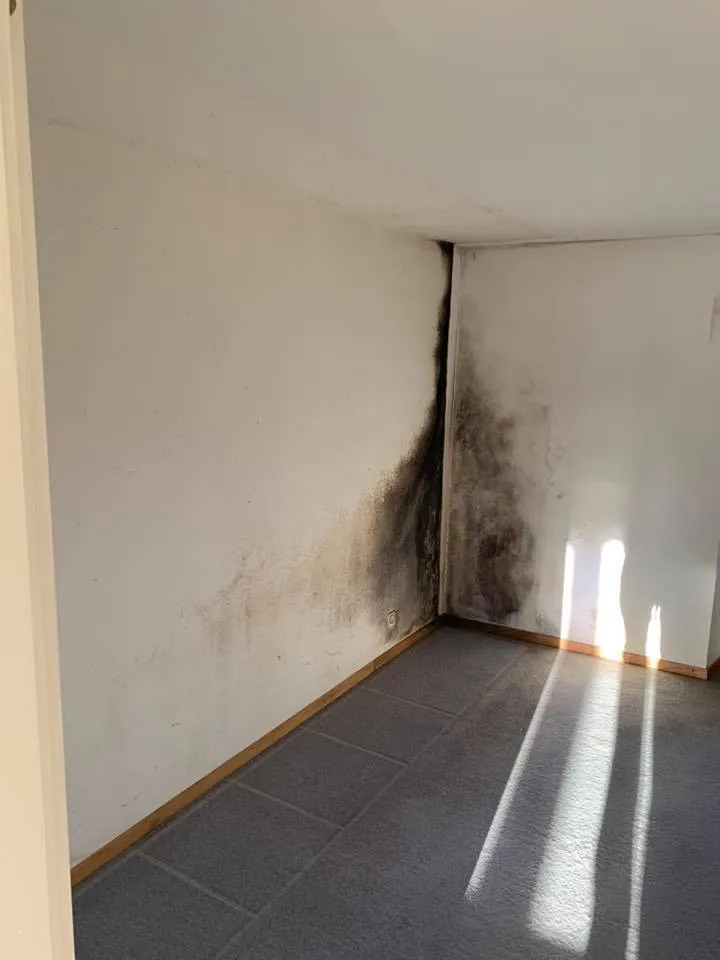 Raum mit Feuchtigkeitsschäden und Schimmel an der Wandecke vor der Sanierung.