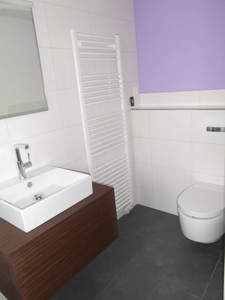 Bad mit Aufsatzbecken, Handtuchradiator und farbig gestrichener Wand.